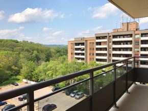 Hamilton apartment for rent - A balcony overlooks a parking lot and a wooded area.
