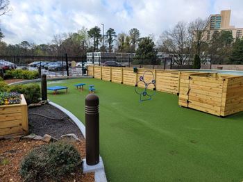 Dog park