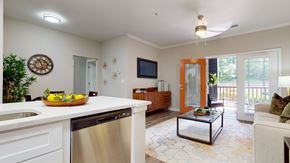 Atlanta apartment for rent - A modern kitchen with a stainless steel dishwasher and a glass coffee table at Embry Hills, Atlanta, 30042