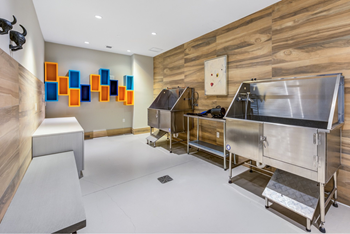 Pet care center