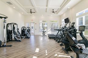Daphne apartment for rent - A gym with a variety of exercise equipment including treadmills, elliptical machines, and weight machines.