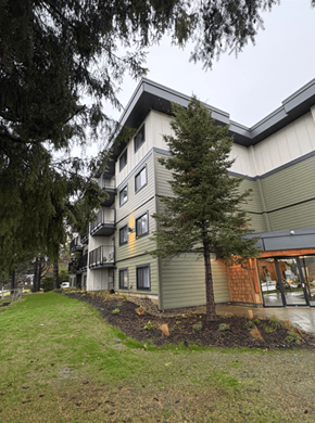 Courtenay apartment for rent - A tree in front of a grey building.