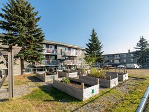 Prince George apartment for rent - A sunny day at a residential area with apartment buildings and raised garden beds.