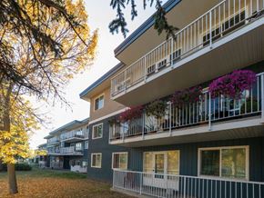 Prince George apartment for rent - A tree with yellow leaves is in front of a building with balconies.