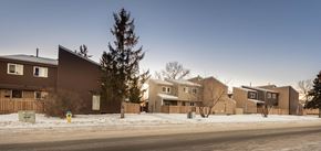 Edmonton apartment for rent - A row of houses with snow on the ground and trees in front.