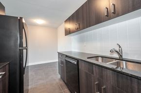 Edmonton apartment for rent - A kitchen with a black refrigerator and a stainless steel sink.