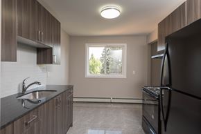 Edmonton apartment for rent - A kitchen with a black fridge and a window.