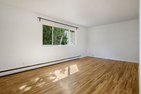 Edmonton apartment for rent - A room with wooden flooring and a window.