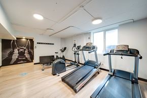Edmonton apartment for rent - A gym with treadmills and elliptical machines.