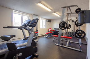Edmonton apartment for rent - A gym with a treadmill, weights, and exercise equipment.