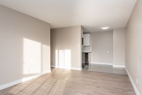 Edmonton apartment for rent - A spacious room with a fireplace and a built-in cabinet.