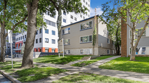 Edmonton apartment for rent - A tree-lined street with apartment buildings on either side.