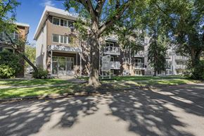 Edmonton apartment for rent - A tree in front of apartment buildings.