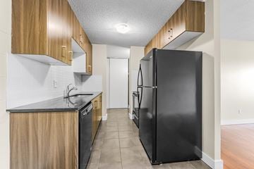 Edmonton apartment for rent - A black refrigerator sits in a kitchen with wooden cabinets.