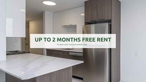 Edmonton apartment for rent - A modern kitchen with a free rent offer.