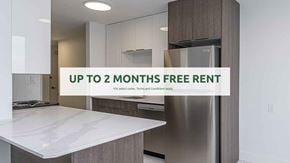 Edmonton apartment for rent - A modern kitchen with a free rent offer.
