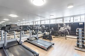 Edmonton apartment for rent - A gym with treadmills, elliptical machines, and other exercise equipment.