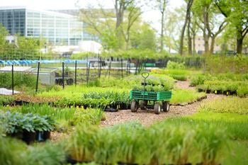 A green wagon is in the middle of a garden.