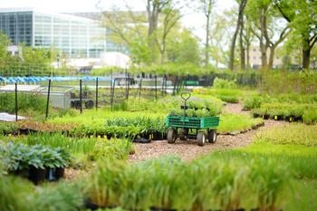 A green wagon is in the middle of a garden.