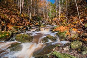 Waterdown apartment for rent - A stream flows through a forest with rocks and fallen leaves. at The Grindstone  Apartments, Waterdown, ON