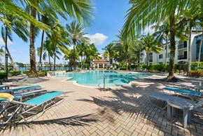 Miramar apartment for rent - A pool surrounded by palm trees and sun loungers.