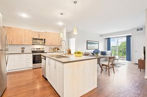 Burnsville apartment for rent - A modern kitchen with wooden cabinets and a large island.