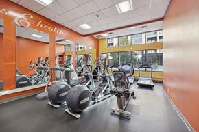 St. Louis Park apartment for rent - A gym with a variety of equipment including treadmills, stationary bikes, and weight machines.