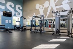 Huntersville apartment for rent - A gym with a blue wall and a large mural of people exercising.