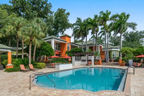 Clearwater apartment for rent - A swimming pool in a backyard with a house and palm trees.