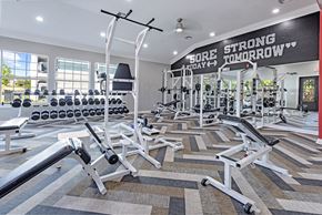 San Antonio apartment for rent - A gym with a variety of equipment including weights and benches.