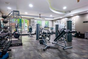 Franklin apartment for rent - A gym with a variety of equipment including weights and machines.