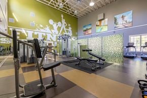 Charlotte apartment for rent - A gym with a green wall and a treadmill.