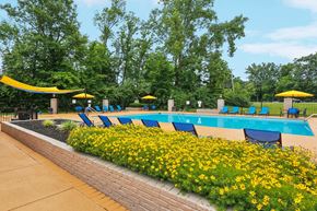 Miamisburg apartment for rent - A pool surrounded by yellow flowers and blue lounge chairs.