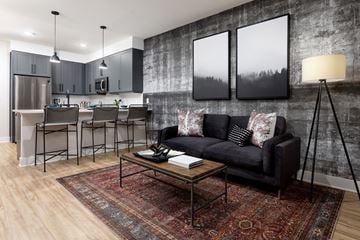 Littleton apartment for rent - A living room with a black couch and a rug.