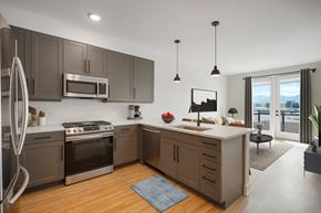 Littleton apartment for rent - A modern kitchen with wooden cabinets and stainless steel appliances.