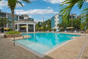Largo apartment for rent - A large swimming pool surrounded by palm trees and lounge chairs.