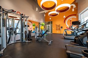 Indianapolis apartment for rent - A gym with a variety of equipment including treadmills, weights, and exercise machines.