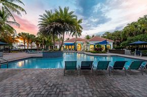 Coral Springs apartment for rent - A pool surrounded by palm trees and lounge chairs.