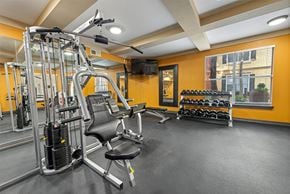 Irving apartment for rent - A gym with a weight bench, dumbbells, and a cable machine.