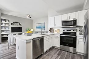 Clearwater apartment for rent - A modern kitchen with white cabinets and stainless steel appliances.