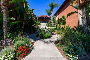Escondido apartment for rent - A garden pathway surrounded by plants and flowers.