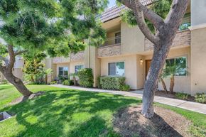 La Mesa apartment for rent - A tree in front of a house.