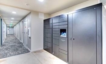 Secure parcel lockers