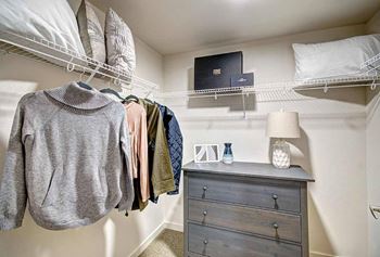 Walk-in closet *selected units