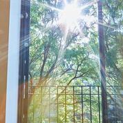 Brooklyn apartment for rent - The sun is shining through the trees.