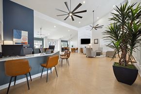 San Antonio apartment for rent - A modern office space with a reception desk, chairs, and a large plant.