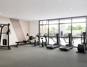 Avondale apartment for rent - A gym with a variety of equipment including treadmills, stationary bikes, and weight machines.