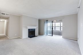 Smyrna apartment for rent - A spacious living room with a fireplace and sliding glass doors.