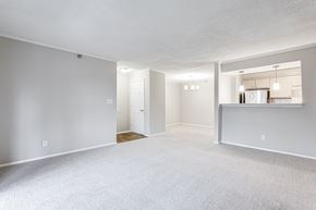 Smyrna apartment for rent - A spacious, empty room with a carpeted floor and white walls.