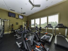 Dawsonville apartment for rent - A gym with treadmills, exercise bikes, and a television.